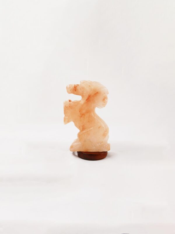 Horse 7”