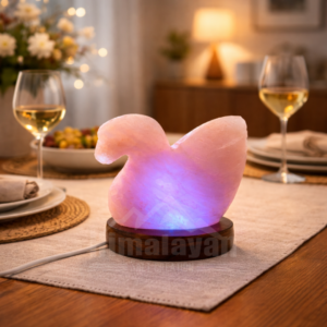 Swan Baby - Image 3
