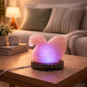 Swan Baby - Image 5