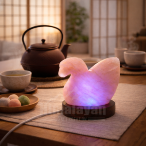 Swan Baby - Image 6