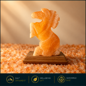 Salt Horse - Image 1