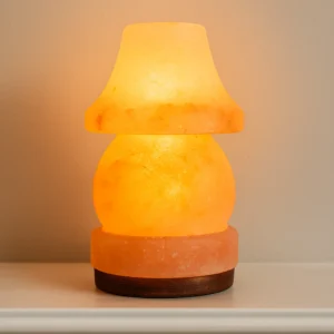 Paddington Lamp - Image 3